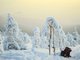 Снежный покров увеличится на 10 см. Фото: Галина Соловьёва