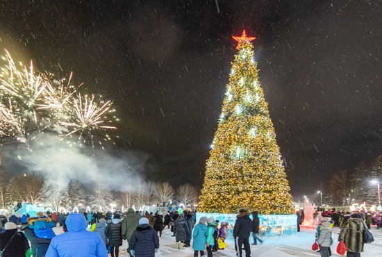 За день до открытия ледового городка в городе зажгли огни на главной ёлке. Фото: Егор Драничников