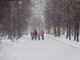Морозы задержатся на Среднем Урале до Рождества. Фото: Алексей Кунилов