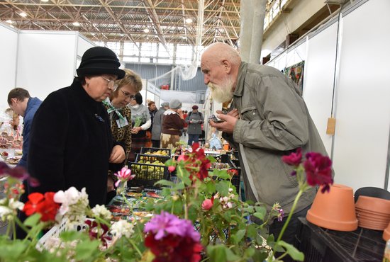 Как только вам стукнет 80 лет, к пенсии автоматом добавят 6 401 рубль 10 копеек Фото: Алексей Кунилов