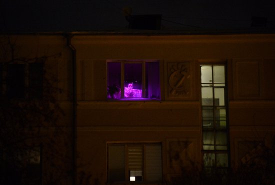 Окна с таинственным светом появляются в домах с конца января. А вы что предполагали, видя такие? Фото: Павел Ворожцов