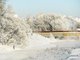 На предстоящей неделе на Среднем Урале температура будет близка к норме в январе. Фото: Галина Соловьёва