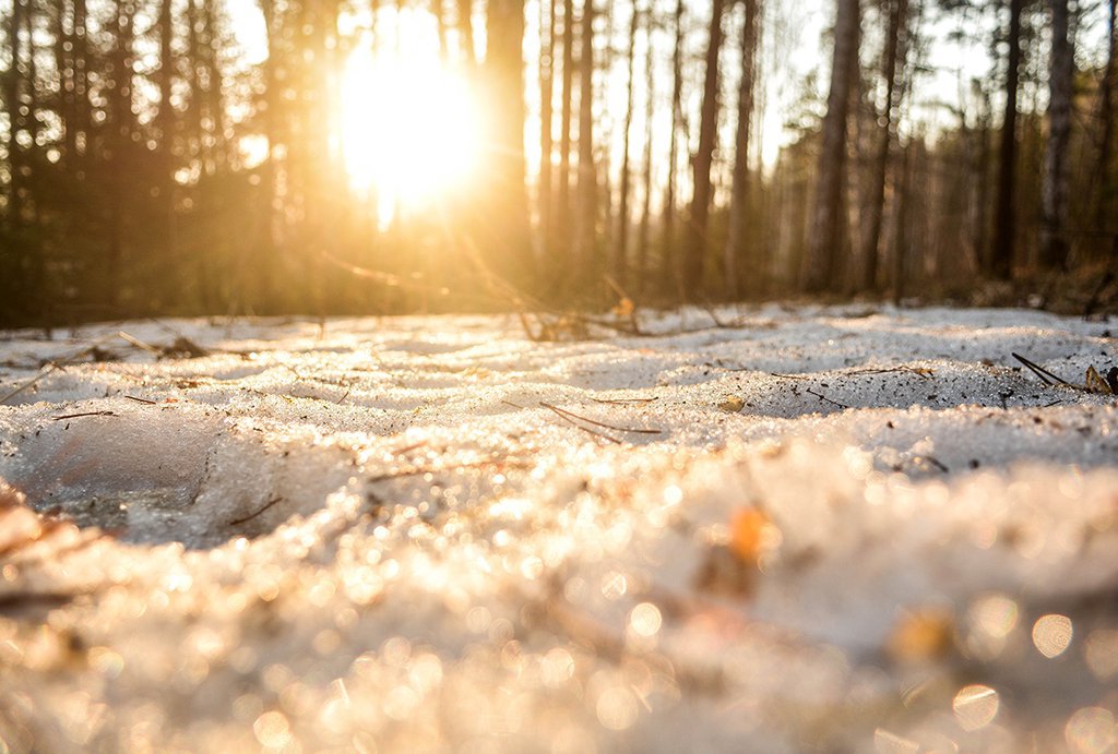 Начало февраля в Свердловской области обещает быть тёплым и малоснежным. Фото: Галина Соловьёва
