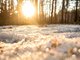 Начало февраля в Свердловской области обещает быть тёплым и малоснежным. Фото: Галина Соловьёва