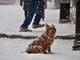Дороги и тротуары в столице Урала быстро завалило снегом. Фото: Полина Зиновьева