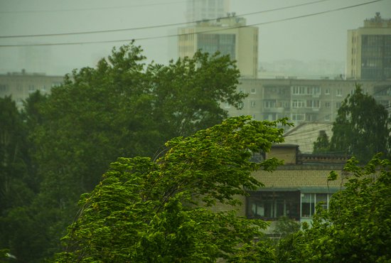 На Среднем Урале ожидаются сильные дожди, крупный град и ветер с усилением до 25 метров в секунду. Фото: Галина Соловьева