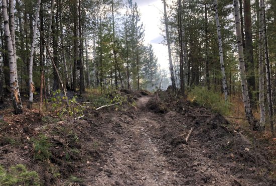 Лесной пожар в поселке Флюс остановили с помощью минерализованных полос. Фото: департамент информационной политики Свердловской области