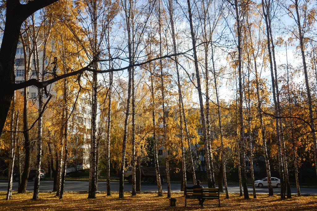Екатеринбург осенью