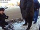Он крепил закладки на срезанные ветки и втыкал их в снег. Фото: отделение по связям со СМИ УМВД России по Екатеринбургу