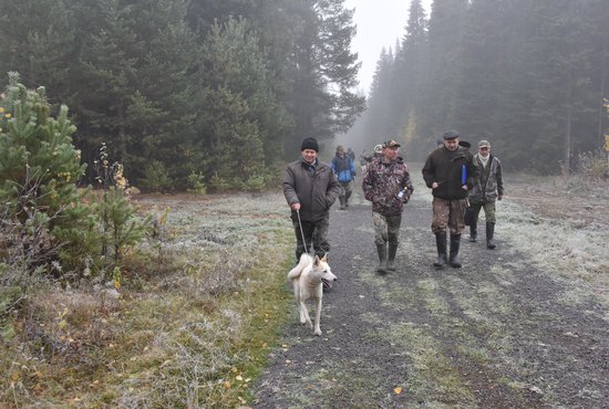 В регионе приостановлена выдача разрешений на охоту. Фото: Алексей Кунилов