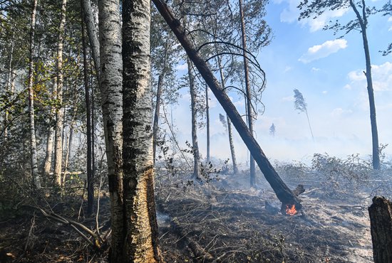 К ликвидации всех лесных возгораний в округе были привлечены более 40 человек. Фото: Галина Соловьева