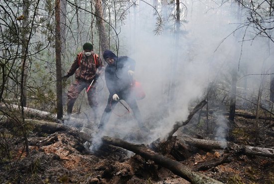 За сутки в Свердловской области ликвидировали 12 природных пожаров. Фото: Павел Ворожцов