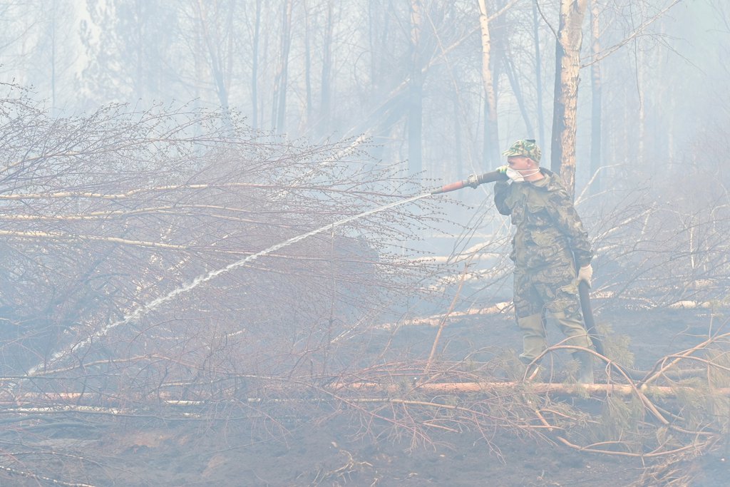Тушение лесного пожара