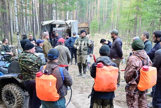 В муниципалитетах должны создать патрульно-маневренные и патрульно-контрольные группы. Фото: Павел Ворожцов