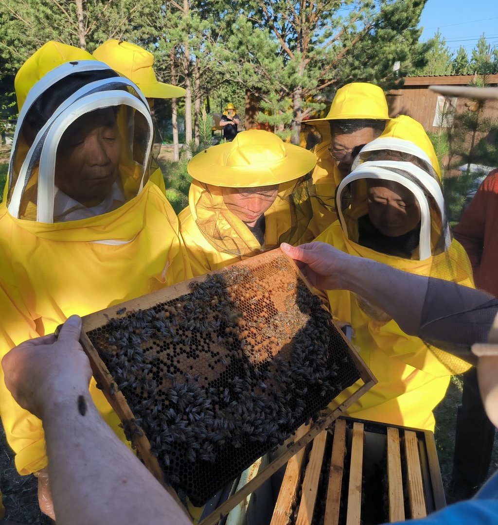 В эко-комплексе гостей из КНР угостили медом и рассказали об уникальной методике оздоровления – сне на пчёлах. Фото: Департамент информполитики СО