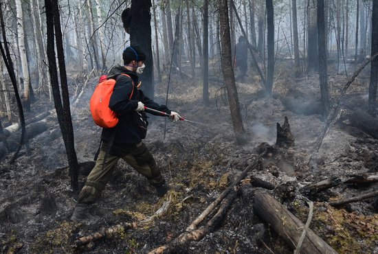 Борьбу с огнем в уральских лесах ведут около 800 человек и более 120 единиц спецтехники, задействована спецавиация. Фото: Павел Ворожцов