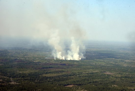 За сутки специалисты ликвидировали 20 природных пожаров на Среднем Урале. Фото: Борис Ярков