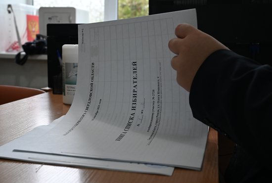 Для проведения дополнительных выборов действует схема одномандатных избирательных округов. Фото: Павел Ворожцов