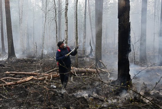 В борьбе с природными пожарами на Среднем Урале задействованы сотни человек. Фото: Павел Ворожцов