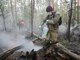 В борьбе с огнем в Свердловской области задействованы более 400 человек. Фото: Павел Ворожцов