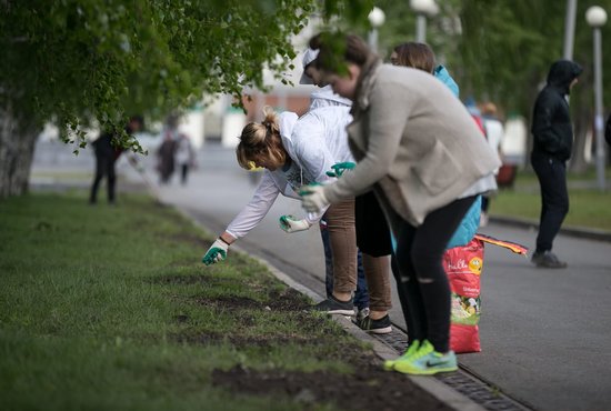 Активисты Фонда Святой Екатерины вышли на субботник, чтобы благоустроить повреждённые газоны. Фото: Фонд Святой Екатерины