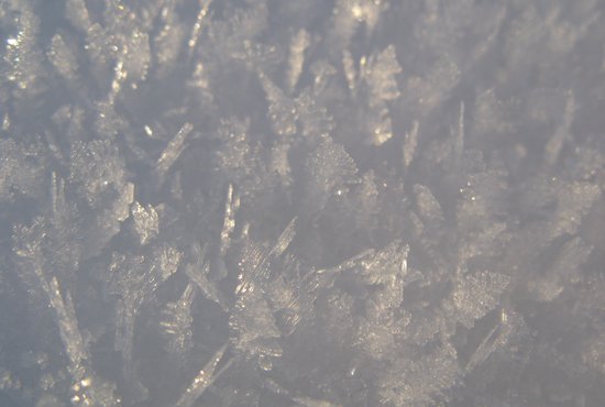 МЧС обратилось к свердловчанам из-за грядущих заморозков. Фото: Алексей Кунилов