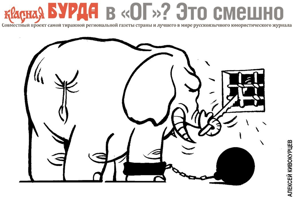 Алексей Кивокурцев. Карикатура