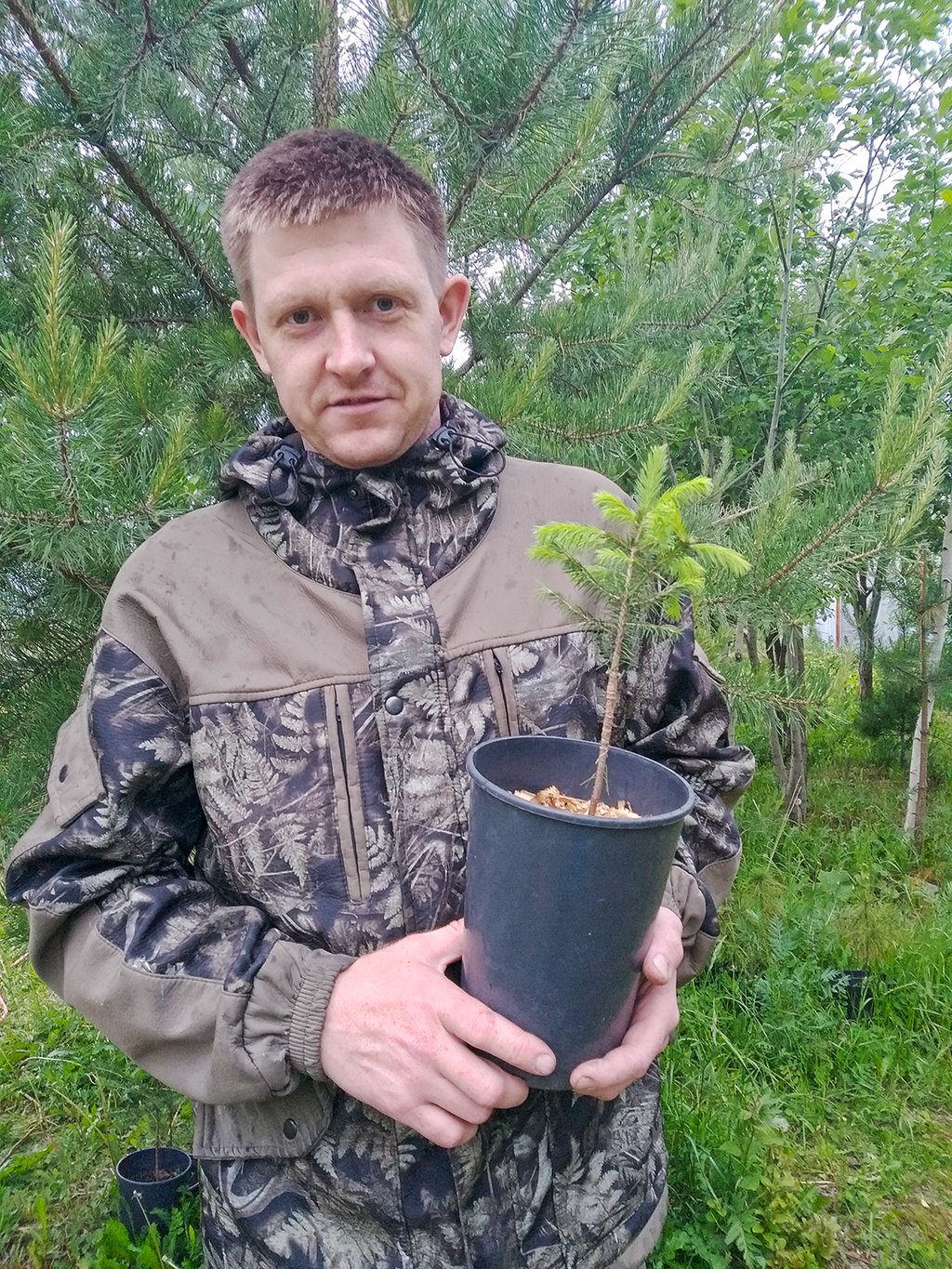 Молодой учёный из Екатеринбурга Антон Оплетаев клонировал уникальную ель