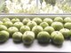 Спелые зелёные помидоры заняли больше трёх подоконников в доме уральского дизайнера. Фото: Марина Морозова