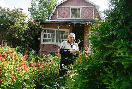 В своём саду Эдуард Ясиновский больше всего заботится о цветах. Фото: Галина Соловьёва