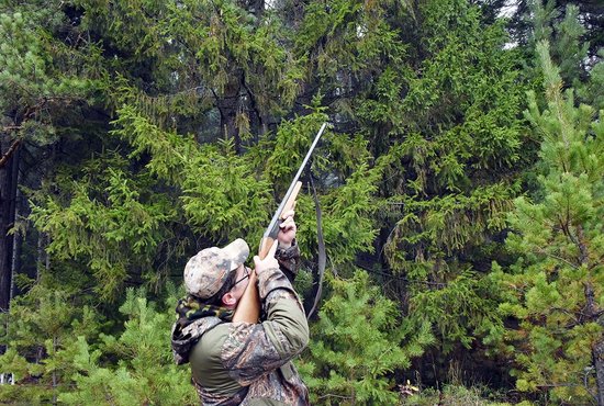 Доступ в лес с оружием без разрешения на охоту закрыт. Фото: Алексей Кунилов