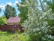В этом году яблони и вишни на Среднем Урале уже вовсю цветут, так что плодов на них можно ожидать раньше  Фото: Галина Соловьёва