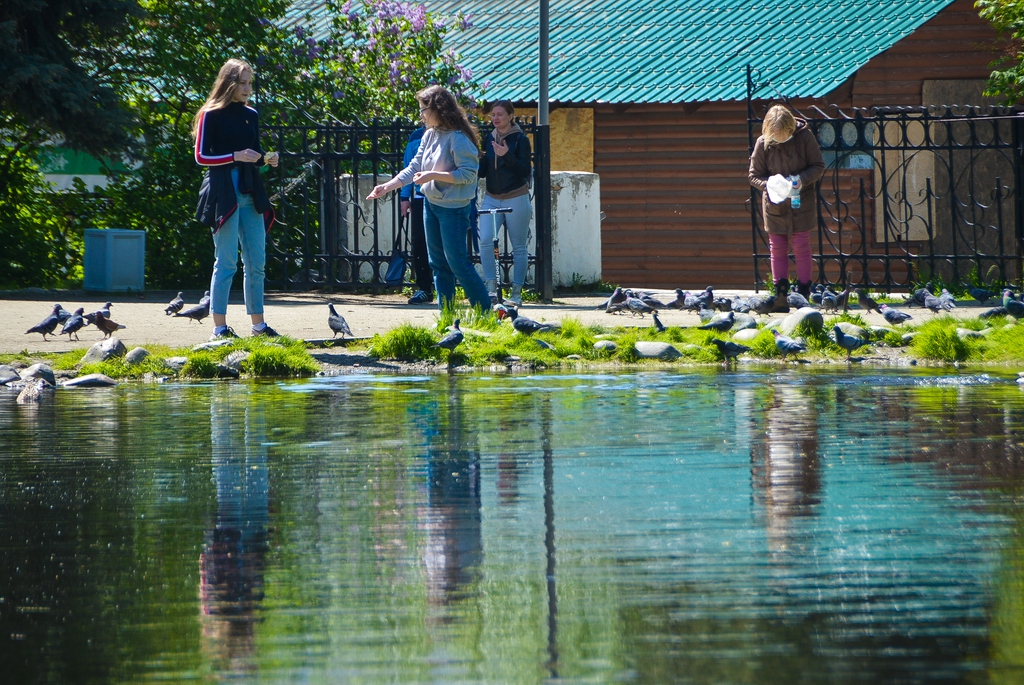В Екатеринбурге заработали парки во время пандемии коронавируса