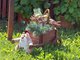«ОГ» предлагает проявить себя любителям дачи и огорода: мы объявляем старт конкурса «Гордость садовода» Фото: Павел Ворожцов
