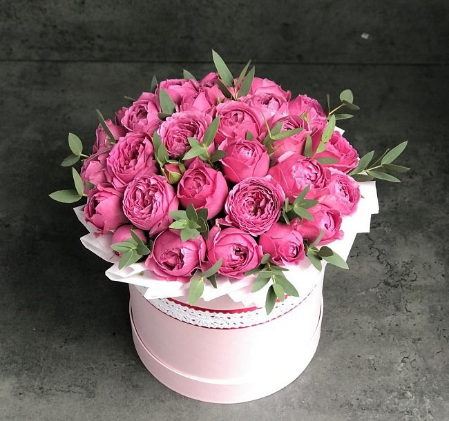 Пионовидные розы – источник вдохновения для флористов: Общество: Облгазета