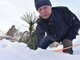 После того, как Вячеслав Зырянов показал нам маленький кедр в своём питомнике, он снова бережно прикрыл его снегом Фото: Алексей Кунилов