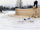 Важно, чтобы не только баня была срублена зимой, но и лес для неё тоже был спилен в эту зиму. Фото: Василий Гаёв