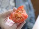 Если долго хранить томат в тепле, то он может стать теплицей для рассады собственных проростков Фото: Павел Ворожцов