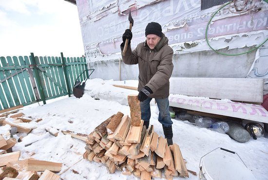 Николай Петров: «Без дров в саду не проживёшь» Фото: Алексей Кунилов