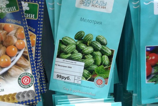 Несмотря на помпезные названия, стоят семена экзотических растений в уральских магазинах не так уж дорого. Фото: Рудольф Грашин