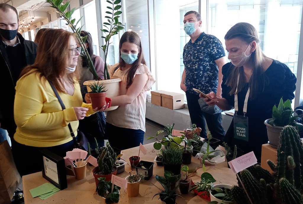 В Екатеринбурге прошёл первый фестиваль комнатных растений House Plant Fest.
