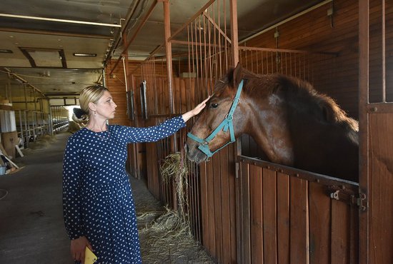 Почти всех животных на ферме Наталья Акулиничева знает по кличкам. Вот это, например, конь Бумер. Фото: Алексей Кунилов.