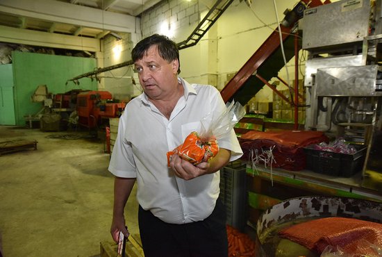 Александр Кожевников: «Сегодня 100 процентов моркови из хозяйства в торговлю поступает уже мытой» Фото: Алексей Кунилов