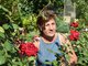 Розы в саду Марины Егоровой чувствуют себя королевами Фото: Алексей Кунилов