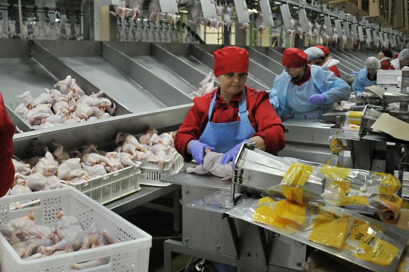 Сейчас "Рефтинская" птицефабрика - лидер по производству бройлерного мяса в Свердловской области. Фото: Павел Ворожцов