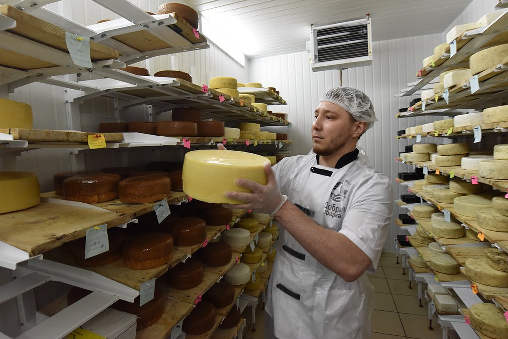 Камера для созревания сыров сейчас вмещает две тонны, запуск второй камеры позволит хранить ещё 10 тонн сыров Фото: Павел Ворожцов