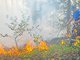 С начала пожароопасного сезона на тушение природных возгораний в Свердловской области потратили 12 миллионов рублей. Фото: Галина Соловьёва