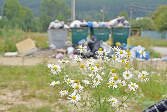 Разместить мусорные баки в саду зачастую мешают и существующие нормативы расположения таких объектов вблизи жилых домов. Фото: Алексей Кунилов