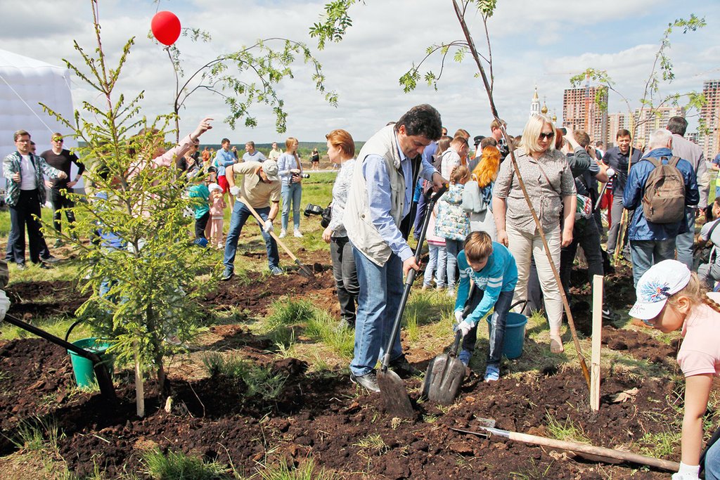 В День защиты детей в Академическом заложили будущий Преображенский парк. Александр Высокинский