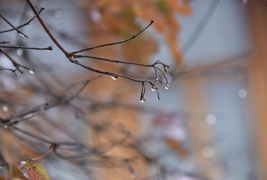 18 октября в городе ожидается небольшой дождь, температура воздуха 8-10 градусов.  Фото: Алексей Кунилов